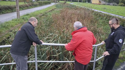 Otra perspectiva del r�o Basteiro.
