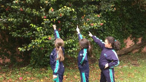 Alumando del segundo curso de Primaria del CPR Crea Natura Santa Apolonia se impuso en la cateogra de Cuaderno de Campo-Periodistas Naturales