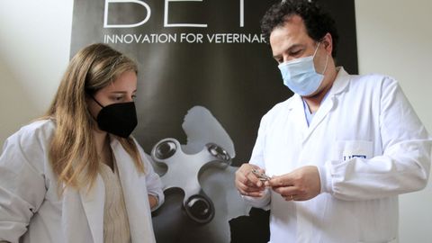Alumnos de Veterinaria del Campus Terra de la USC hacen prácticas en el Laboratorio de Habilidades Clínicas