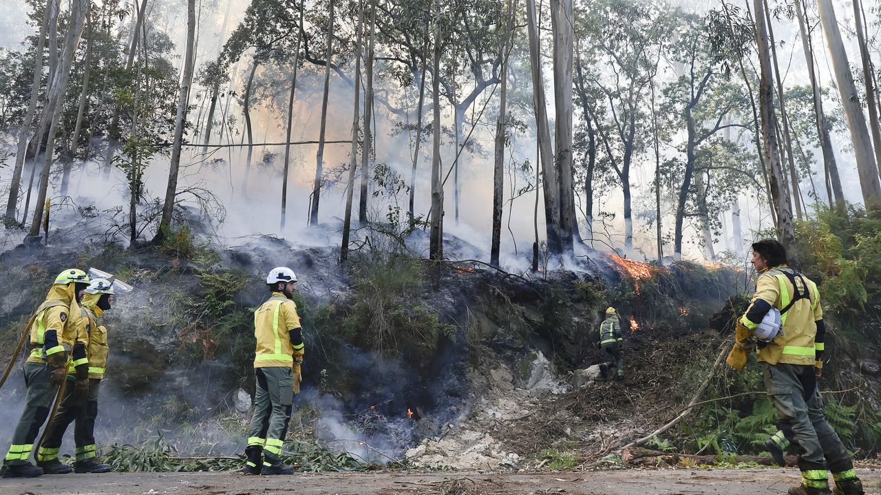 Identifican a un vecino de Meaño como responsable de varios incendios en ese municipio