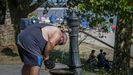 La ola de calor, en imgenes