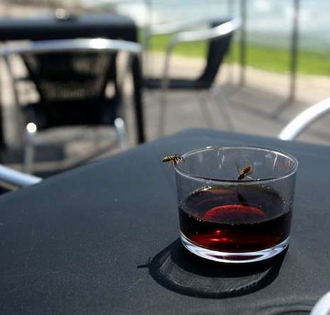 En el entorno de Balar�s se constataron ayer menos avispas. 