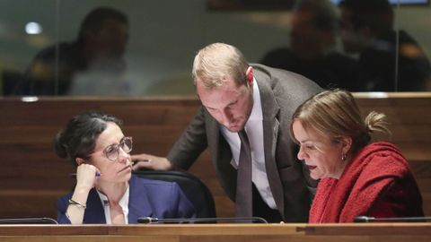 La portavoz del grupo socialista en la Junta General, Dolores Carcedo (i), la diputada de Podemos Covadonga Tom� (d) y el diputado de Foro Adri�n Pumares (c) conversan durante la segunda sesi�n del pleno extraordinario para debatir sobre los compromisos del Ministerio de Transportes con Asturias