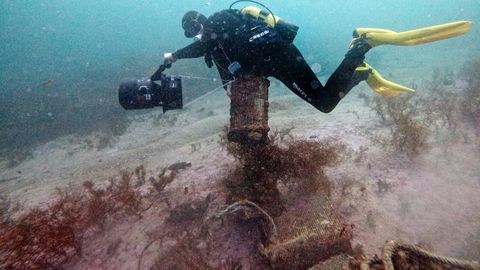Los artefactos provocan da�os a la fauna y al medio
