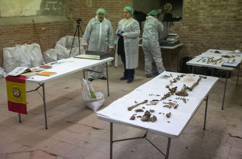 Los t�cnicos buscan los restos de Cervantes entre los esqueletos de la cripta. 