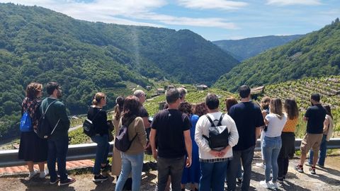 Visitantes en los vi�edos de Chantada en una edici�n anterior de la Primavera de Portas Abertas