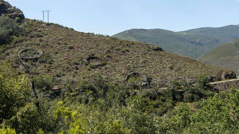 La presencia de numerosas alvarizas atestigua la larga tradici�n ap�cola de la zona afectada por el fuego. La foto fue tomada antes del incendio 