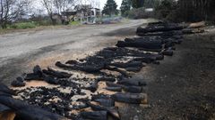 Zona quemada por los incendios en Vald�s