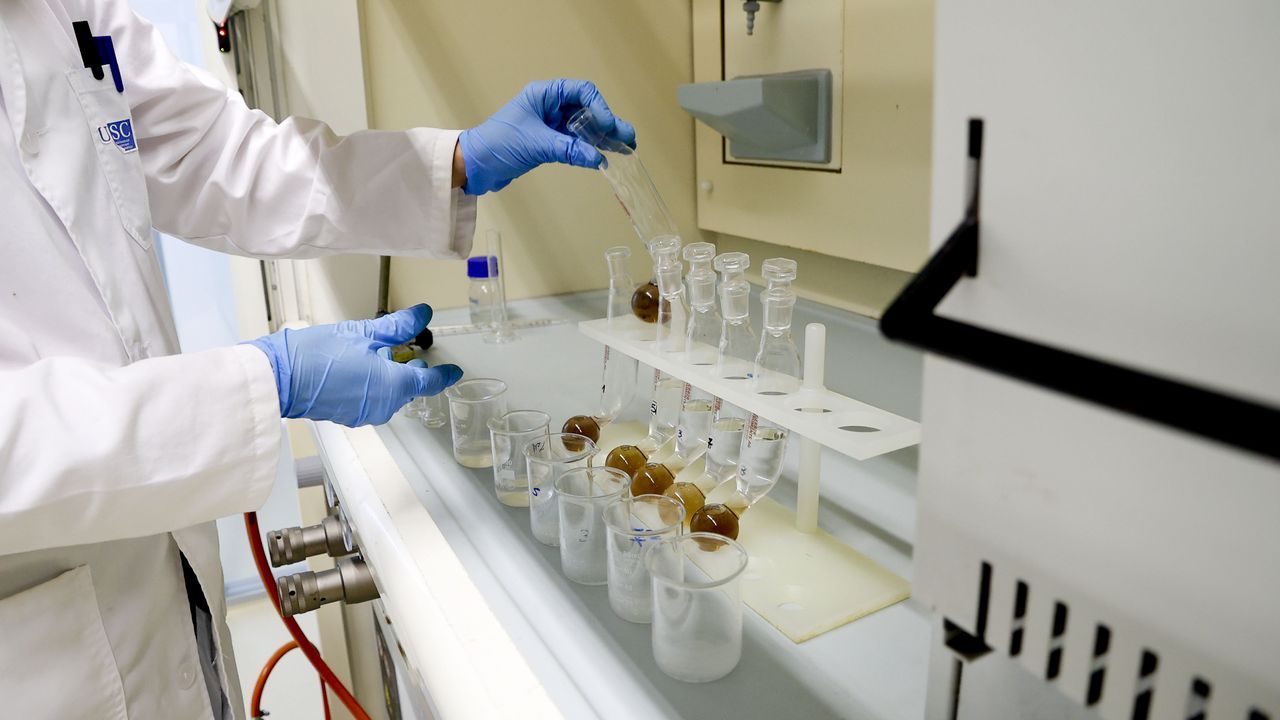 Hablan los gallegos ganadores de los Premios Nacionales de Investigación: «É un motivo de orgullo para a ciencia de Galicia»