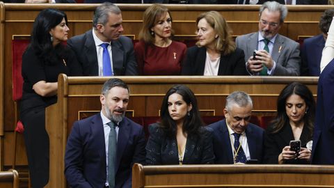 Santiago Abascal, lder de Vox, en su escao