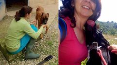 Estos son los perros cuyo sacrificio en Langreo ha provocado indignaci�n en las redes