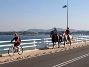 El carril-bici se reservar� para el p�blico y ambulancias.