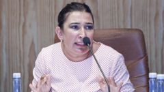 Pilar L�pez en un pleno del Concello de Sarria cuando ocupaba el cargo de alcaldesa, entre 2015 y 2019