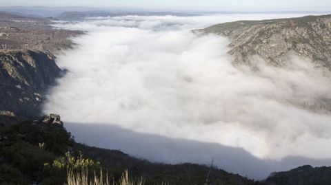 VISTA DE LA NIEBLA QUE CUBRE EL CA��N DEL SIL DESDE EL MIRADOR DE CABEZO�, EN PARADA DE SIL 