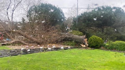 �rbol ca�do en la glorieta de Bastiagueiro, en Oleiros, durante un temporal
