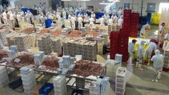 Instalaciones de Conarpesa en una planta argentina de procesado de langostino