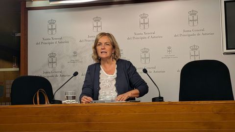 La diputada del Grupo Mixto Covadonga Tom�