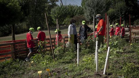 Actividad de conciliaci�n de verano en el Aula da Natureza del r�o Mi�o en Ourense.