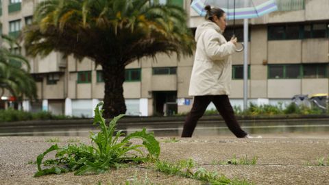 Explanada del Palacio de la �pera