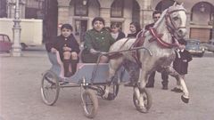 Una nueva vida para los caballitos de pedales