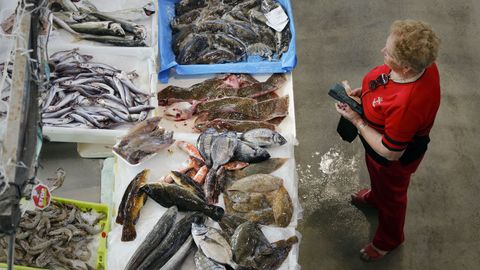 La cesta de la compra se encarece y los productos frescos para algunas familias se convierten en un lujo