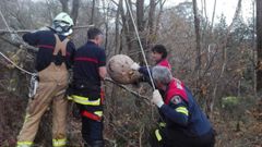 Retirada de un nido de avispa asi�tica en Oviedo