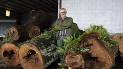 Esta es la obra del escultor que dar� vida al carballo de San Lourenzo