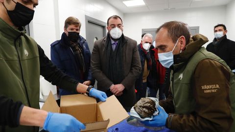 El presidente del Principado, Adri�n Barb�n, en el Centro de Recuperaci�n de la Fauna Silvestre del Principado, ubicado en Sobrescobio