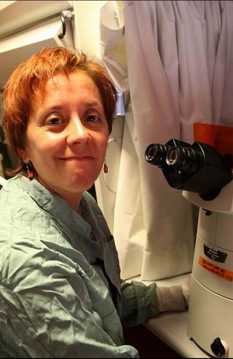 Marisol Soengas