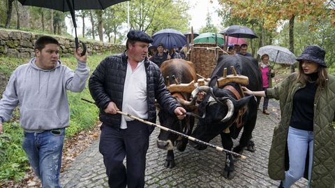 Imagen de archivo de la Festa da Vendima de Monterrei.