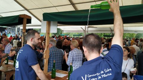 Folixa sidrera en Pilo�a