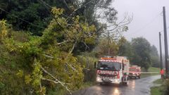 El rbol se desprendi en la carretera de Fonfra, en la parroquia de Laraxe