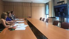 La consejera de Educaci�n, Lydia Espina, durante la reuni�n telem�tica en la Mesa Sectorial de Personal Docente