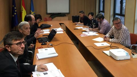 La consejera de Educaci�n, Carmen Su�rez, durante una reuni�n del Consejo de la Formaci�n Profesional, en el que se analiz� la FP dual, con contrato de aprendizaje 