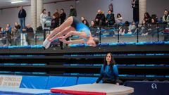 Copa Galicia Internacional Gimnasia Trampol�n disputada en A Ra�a