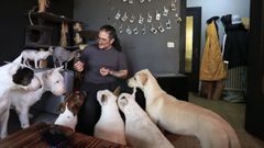V�ctor vive en Albeiros con sus seis perros, pero en malas condiciones porque su casero no le repara desperfectos