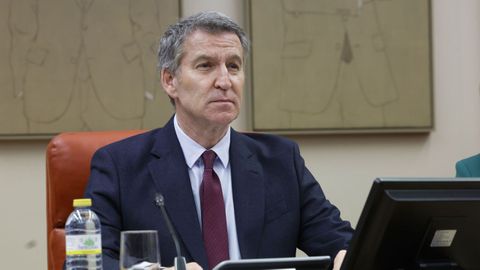 El presidente del Partido Popular, Alberto Nez Feijoo, preside la reunin de sus grupos parlamentarios en el Congreso y Senado.