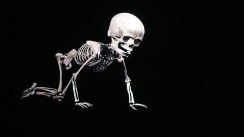 En la foto se observa el esqueleto de un beb� gateando