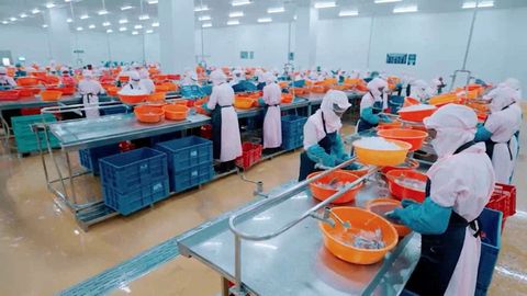 Personal trabajando en una factor�a de Profand Vayalat en la India, en la regi�n de Kerala.