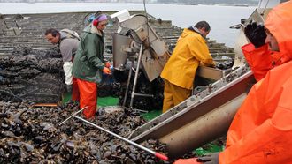 Imagen de archivo de una batea de mejill�n en la r�a de Arousa,�mayoritaria en�el cultivo de este bivalvo en Galicia