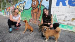 La protectora de animales de Cambados est� desbordada