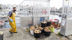 Durante 14 d�as, los profesionales del sector pudieron extraer el molusco, abundante en la r�a