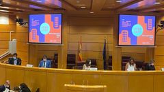 A alcaldesa de Lugo participou no debate de ideas do Senado