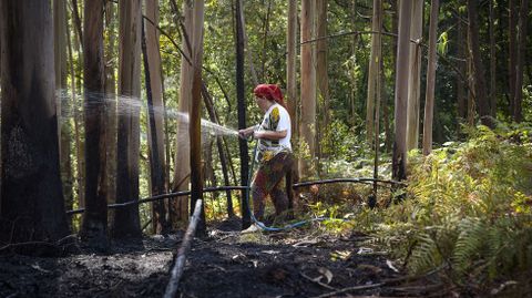 Una vecina refrescando el monte quemado para que no rebrote el fuego en Paradellas, en Vilaboa