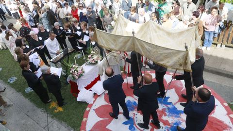 Alfombras flores de Ares