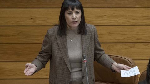 Ana Pont�n, este mi�rcoles en el Parlamento.