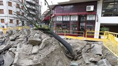 Rosal�a de Castro pierde sus �rboles