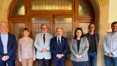 Evaluadores Ingenium