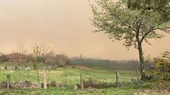 Las fotos del incendio de Marcelle, en Monforte