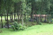 El sendero discurre al lado del r�o Pontellas, en Cerdido